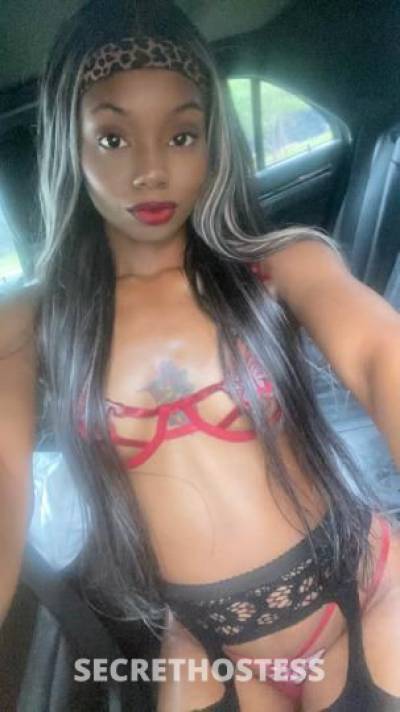 Cream 21Yrs Old Escort Southern Maryland DC Image - 1