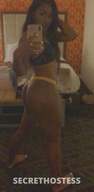 Diamond 24Yrs Old Escort Norfolk VA Image - 3