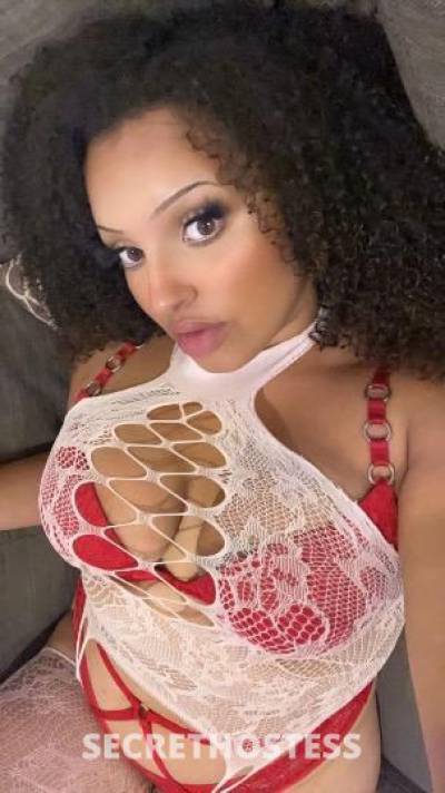 Ebony 23Yrs Old Escort San Antonio TX Image - 3