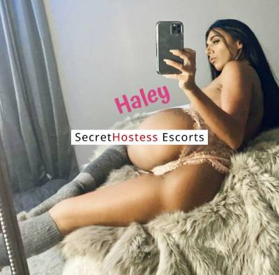 Haley 26Yrs Old Escort 49KG 160CM Tall Pittsburgh PA Image - 9