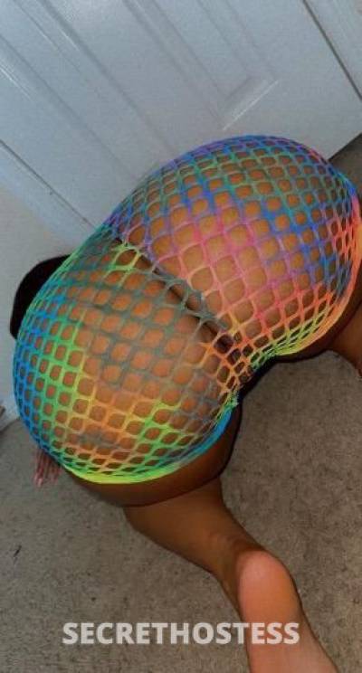 Honey 24Yrs Old Escort Lafayette LA Image - 4