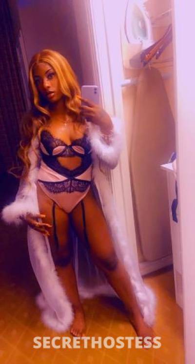 Jasmine 24Yrs Old Escort Concord CA Image - 0