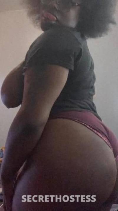 Kacey 23Yrs Old Escort Detroit MI Image - 2