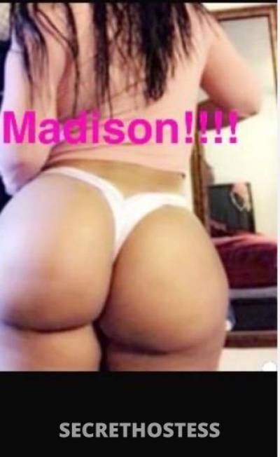 Madison 30Yrs Old Escort Albany NY Image - 2