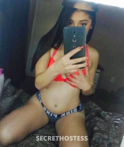 Maya 26Yrs Old Escort Concord CA Image - 3