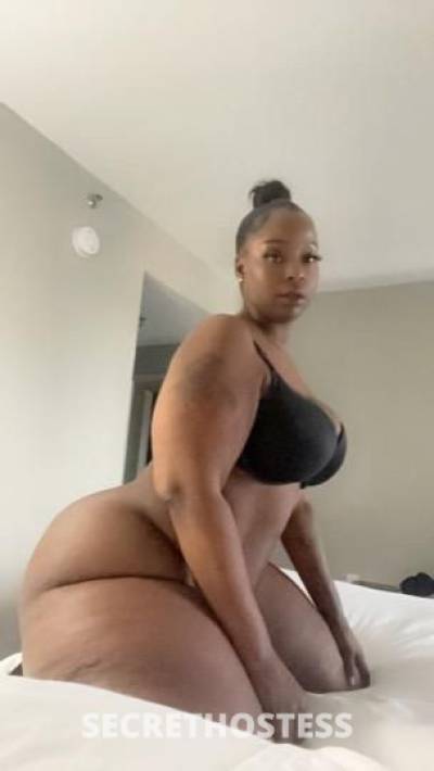 Bbw nikki 🍑💦💦💦 back in town 💕outcall only in Tampa FL