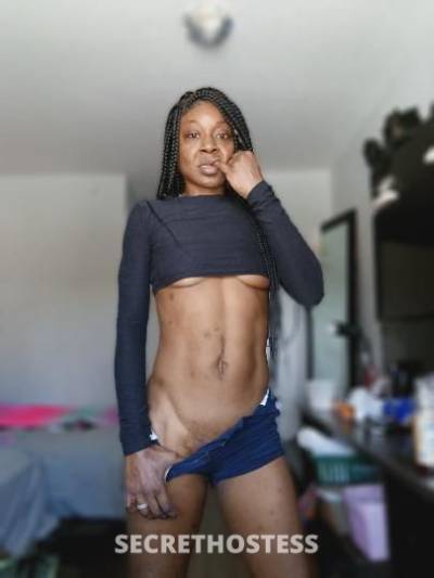 42 Year Old Escort Fort Lauderdale FL - Image 2