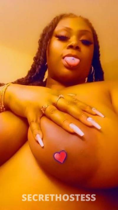 RobbyBae 30Yrs Old Escort Tampa FL Image - 0