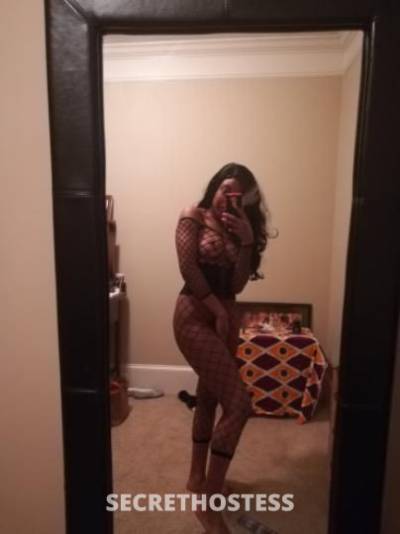 Royal 25Yrs Old Escort Jacksonville FL Image - 0