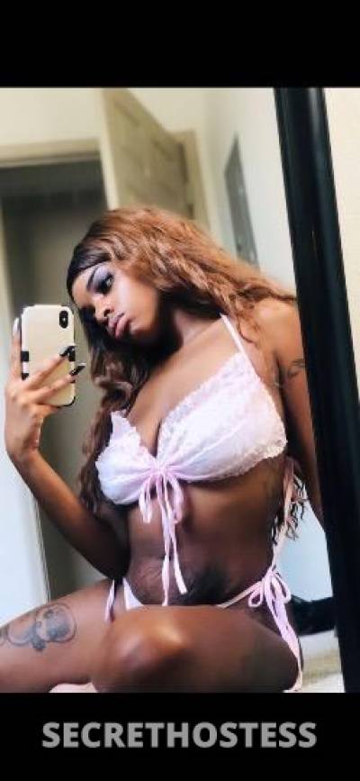 Star 26Yrs Old Escort Augusta GA Image - 2