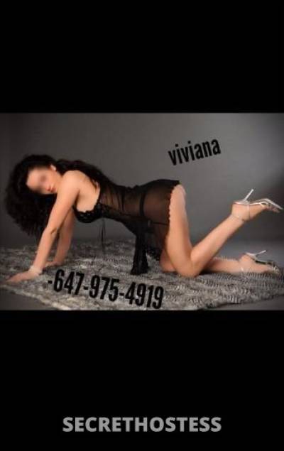 Viviana 29Yrs Old Escort 167CM Tall Toronto Image - 2