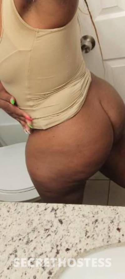 🐈Kitty🐈 26Yrs Old Escort 165CM Tall Memphis TN Image - 2