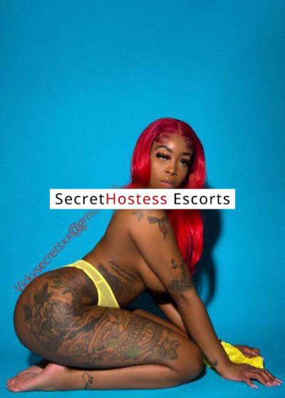 21Yrs Old Escort 72KG 170CM Tall Albuquerque NM Image - 2