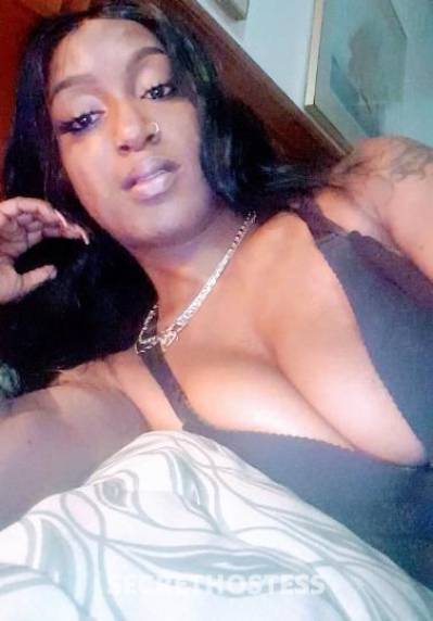 28Yrs Old Escort Los Angeles CA Image - 0