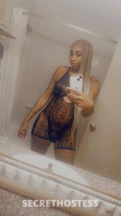 29Yrs Old Escort Dallas TX Image - 2