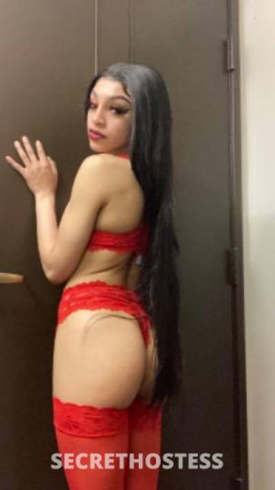 Avia 20Yrs Old Escort Seattle WA Image - 4