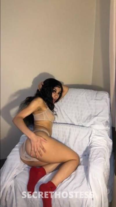 Avia 20Yrs Old Escort Seattle WA Image - 5