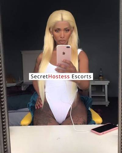 24 Year Old Escort Dubai Blonde - Image 1