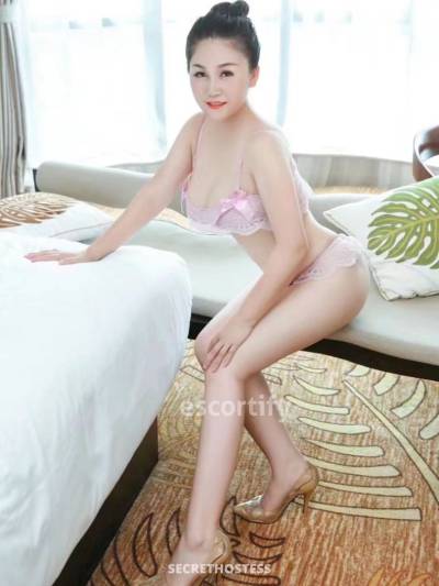 25 Year Old Chinese Escort Wellington Brunette - Image 3