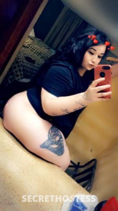 Brooke 26Yrs Old Escort Little Rock AR Image - 5