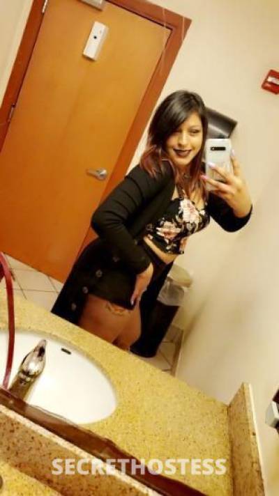 CLAIRE 23Yrs Old Escort San Antonio TX Image - 1