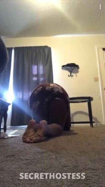 24 year old Escort in Charlotte NC chocolate here to please you (INCALLS ONLY