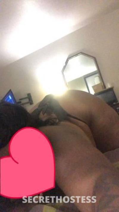 Cola 28Yrs Old Escort Dallas TX Image - 6