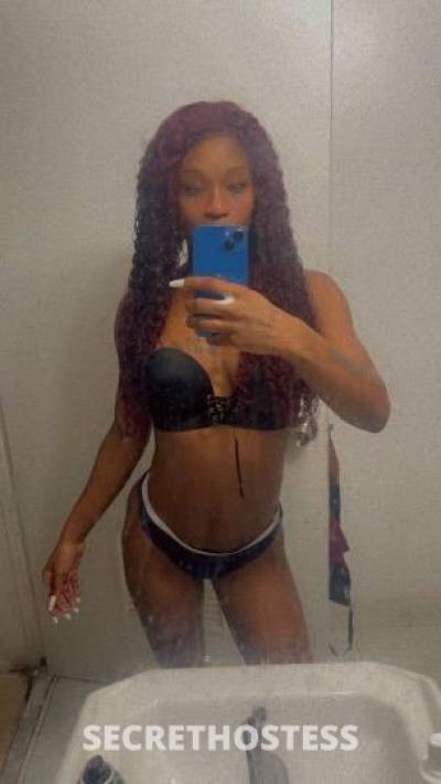 Funsize 26Yrs Old Escort Miami FL Image - 1