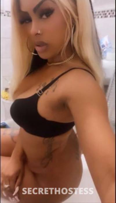 Jazmin 24Yrs Old Escort Westchester NY Image - 0