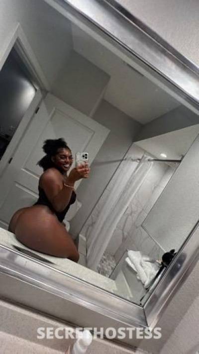 Kandiiii 23Yrs Old Escort Houston TX Image - 0