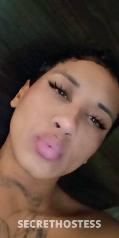 Lexi 26Yrs Old Escort Newport News VA Image - 6