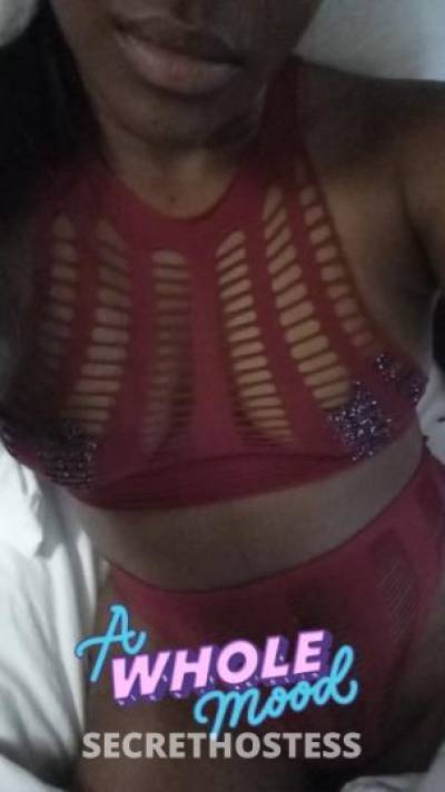 Phoenix 28Yrs Old Escort 162CM Tall New Orleans LA Image - 0