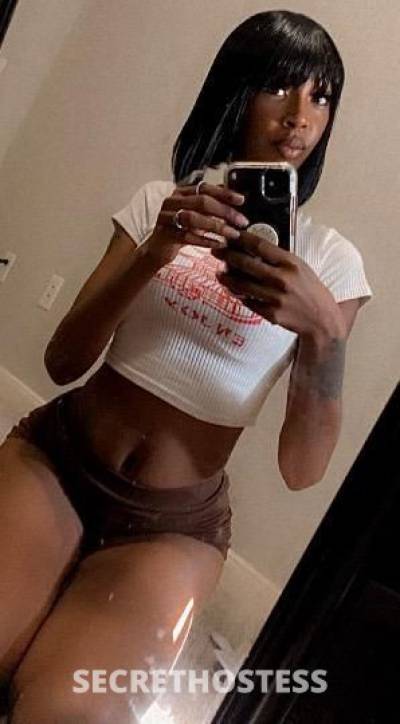 Pretty 27Yrs Old Escort Beaumont TX Image - 3