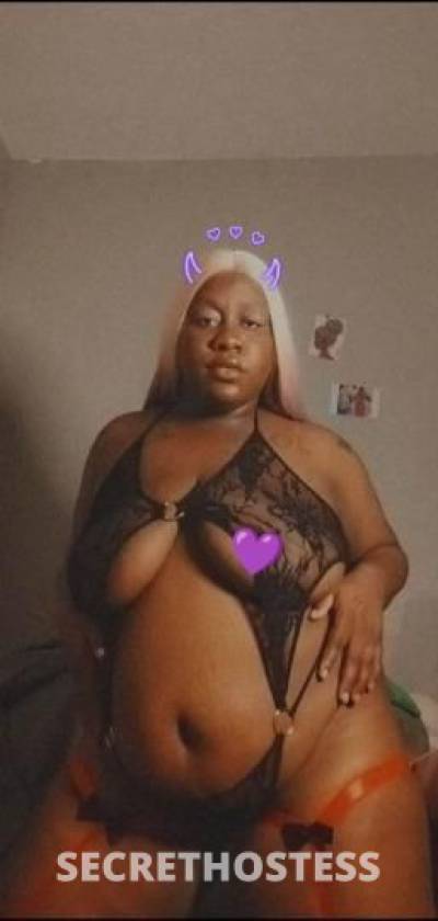 Serenity 24Yrs Old Escort Columbus OH Image - 0