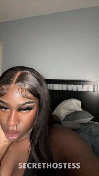 Snobbyrichhslutt 25Yrs Old Escort Brooklyn NY Image - 11