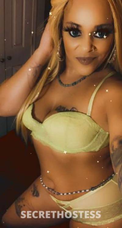 katt 33Yrs Old Escort Denver CO Image - 2