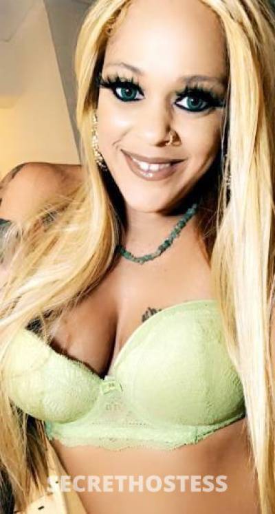 katt 33Yrs Old Escort Denver CO Image - 6