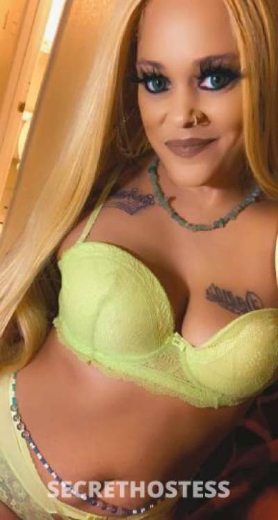 katt 33Yrs Old Escort Denver CO Image - 10