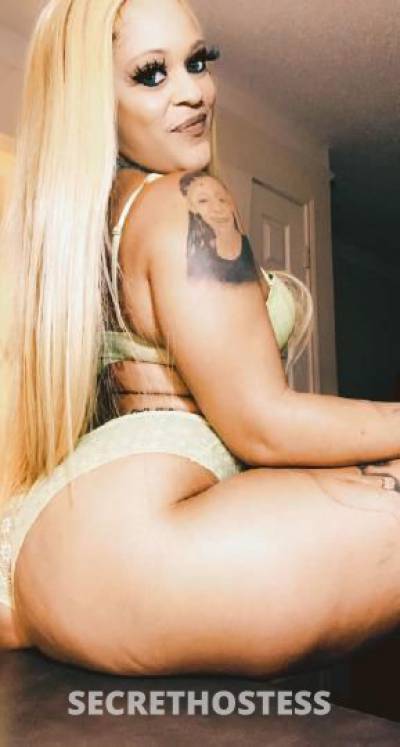 katt 33Yrs Old Escort Denver CO Image - 11
