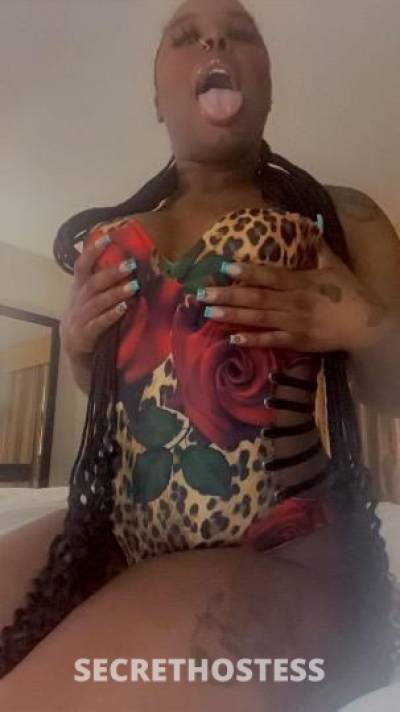 24Yrs Old Escort Houston TX Image - 1