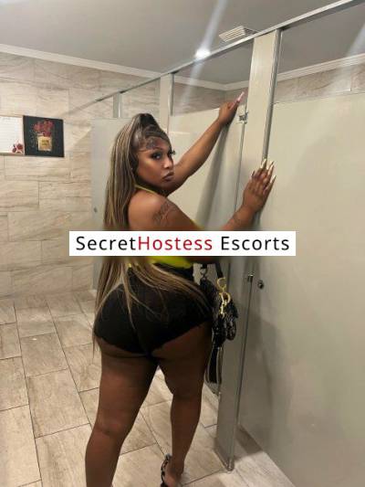 24Yrs Old Escort 90KG 170CM Tall Dallas TX Image - 12