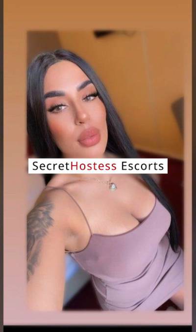 25 Year Old Brazilian Escort Hamburg - Image 9