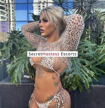 25 year old Escort in Chicago IL Amber