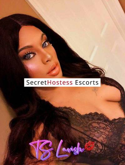 25Yrs Old Escort 170CM Tall Hartford CT Image - 6