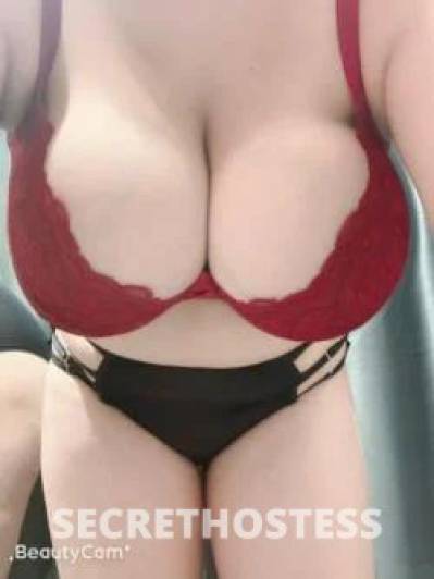 28Yrs Old Escort Cairns Image - 5