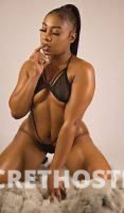 28Yrs Old Escort Houston TX Image - 2