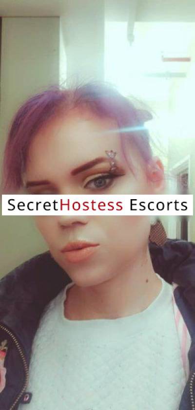 29Yrs Old Escort 68KG 180CM Tall Albuquerque NM Image - 0