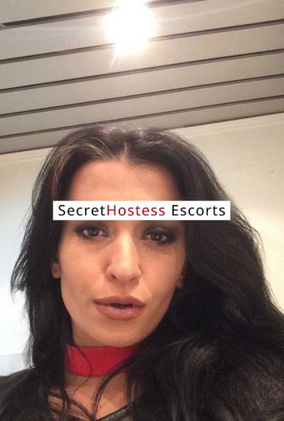 34Yrs Old Escort 52KG 169CM Tall Cologne Image - 1