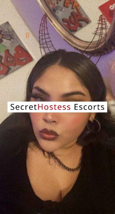 Eva 26Yrs Old Escort 167CM Tall Phoenix AZ Image - 3