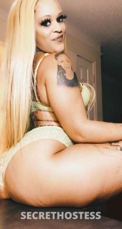 KattRedd 33Yrs Old Escort Denver CO Image - 2